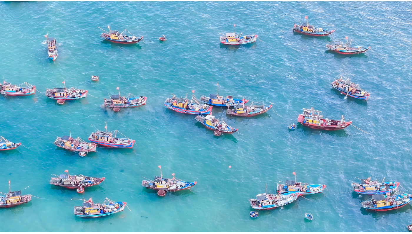 Bình minh ở chợ cá lớn nhất Quảng Nam ảnh 18