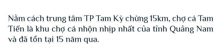 Bình minh ở chợ cá lớn nhất Quảng Nam ảnh 8