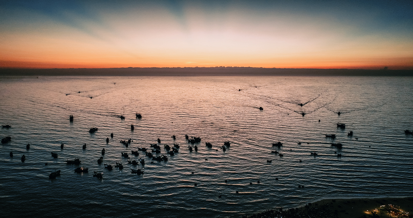 Bình minh ở chợ cá lớn nhất Quảng Nam ảnh 2