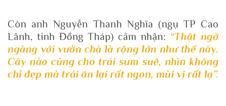 ĐBSCL: Cây chà là mang lại giá trị kinh tế cao ảnh 5