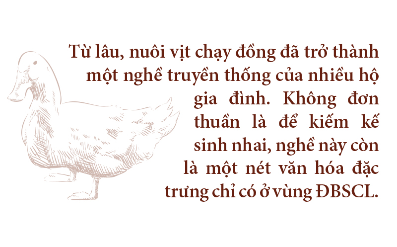 Nghề "cơm bụi ngủ đồng" ảnh 1