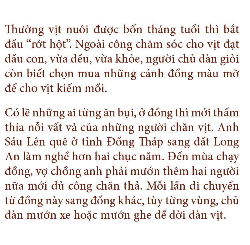 Nghề "cơm bụi ngủ đồng" ảnh 12