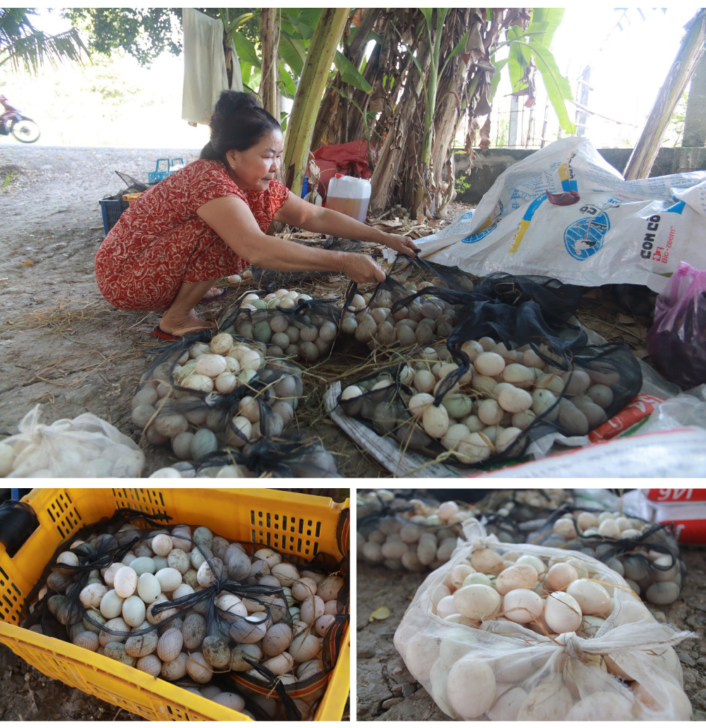 Nghề "cơm bụi ngủ đồng" ảnh 13