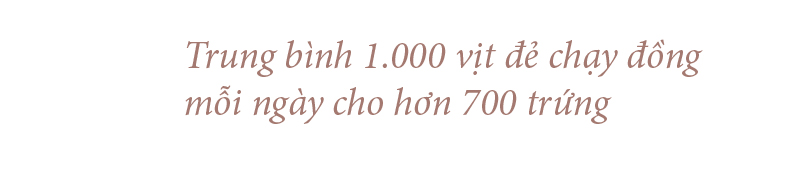 Nghề "cơm bụi ngủ đồng" ảnh 14