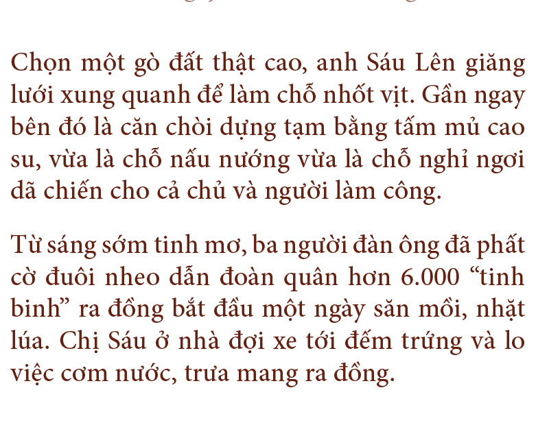 Nghề "cơm bụi ngủ đồng" ảnh 15