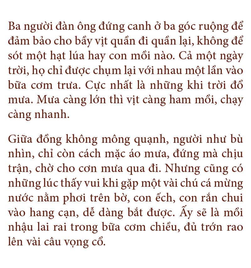 Nghề "cơm bụi ngủ đồng" ảnh 18