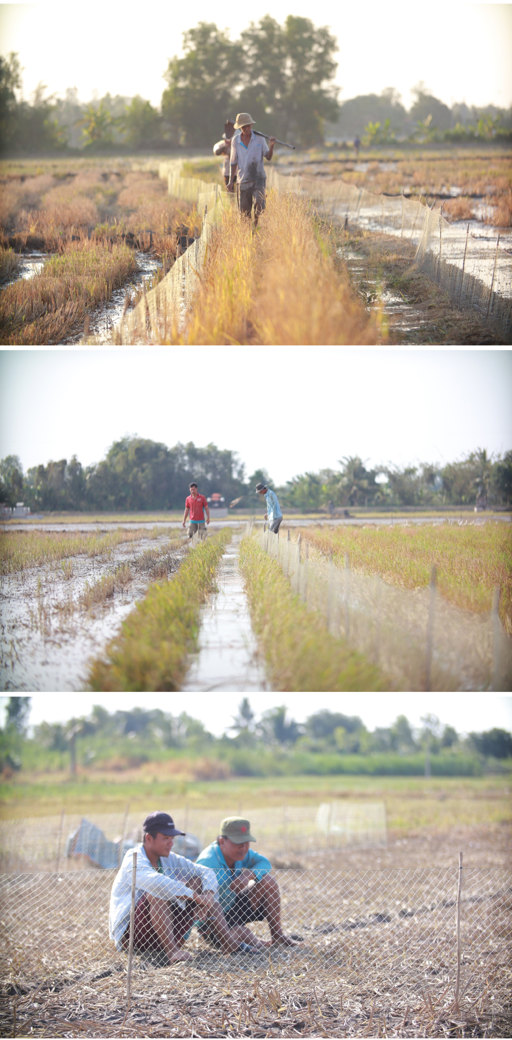 Nghề "cơm bụi ngủ đồng" ảnh 20