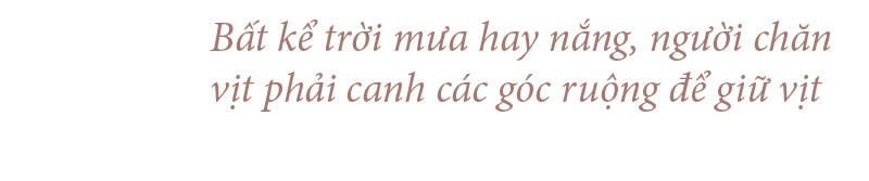 Nghề "cơm bụi ngủ đồng" ảnh 21