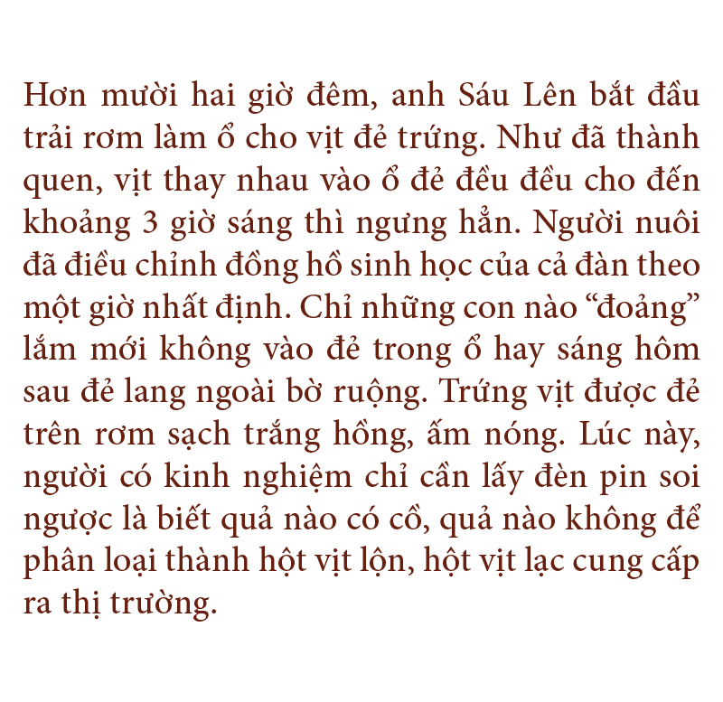 Nghề "cơm bụi ngủ đồng" ảnh 22