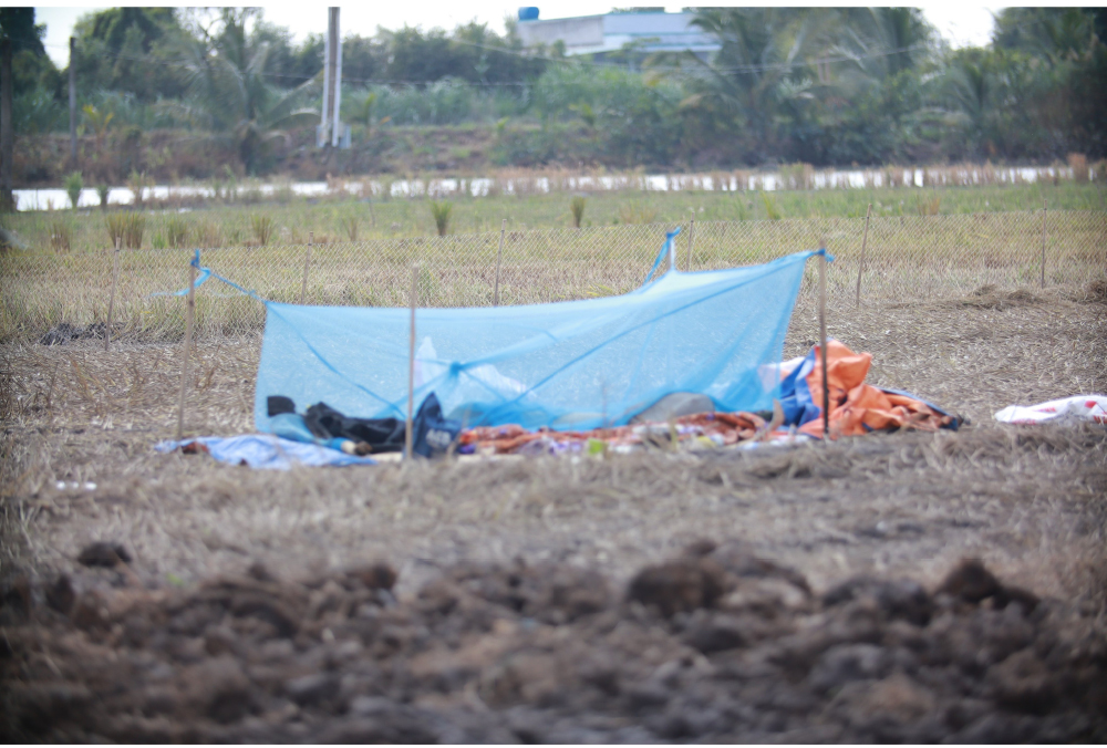 Nghề "cơm bụi ngủ đồng" ảnh 23