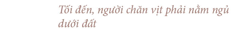 Nghề "cơm bụi ngủ đồng" ảnh 24