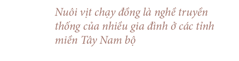 Nghề "cơm bụi ngủ đồng" ảnh 3