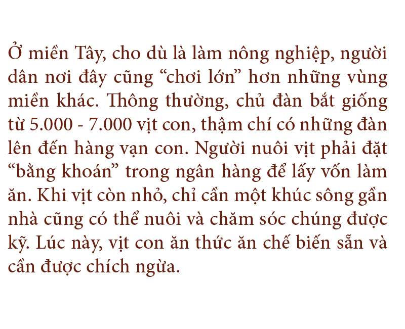 Nghề "cơm bụi ngủ đồng" ảnh 4
