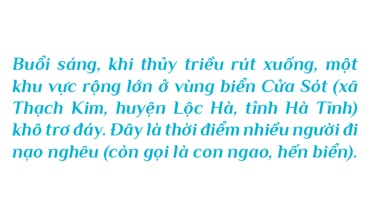 Đi nạo nghêu ở biển Cửa Sót ảnh 1