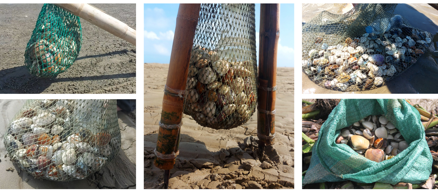 Đi nạo nghêu ở biển Cửa Sót ảnh 9