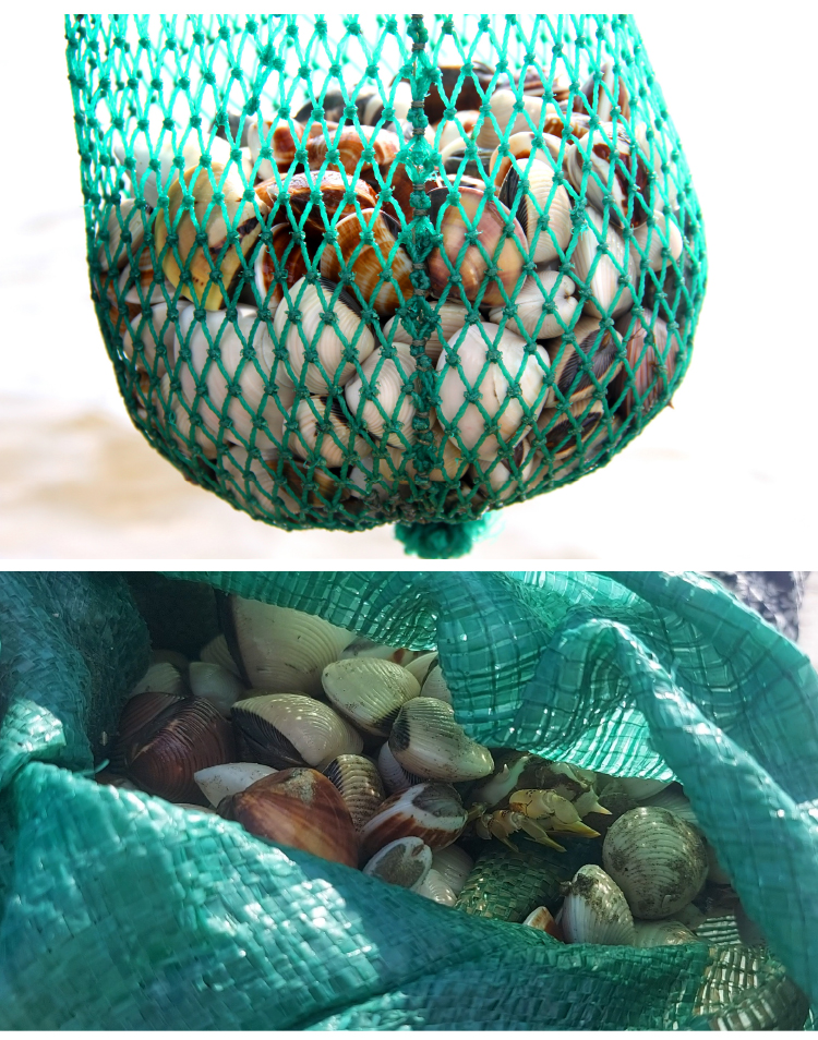 Đi nạo nghêu ở biển Cửa Sót ảnh 10