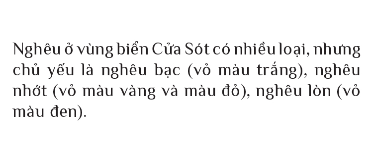 Đi nạo nghêu ở biển Cửa Sót ảnh 11