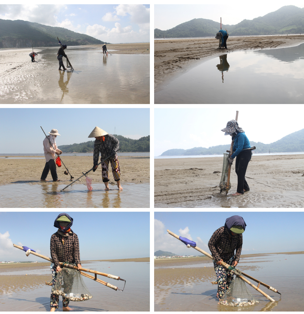 Đi nạo nghêu ở biển Cửa Sót ảnh 12