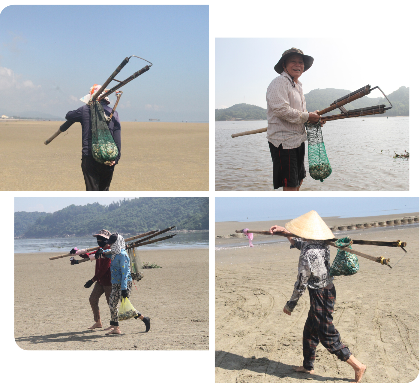 Đi nạo nghêu ở biển Cửa Sót ảnh 15