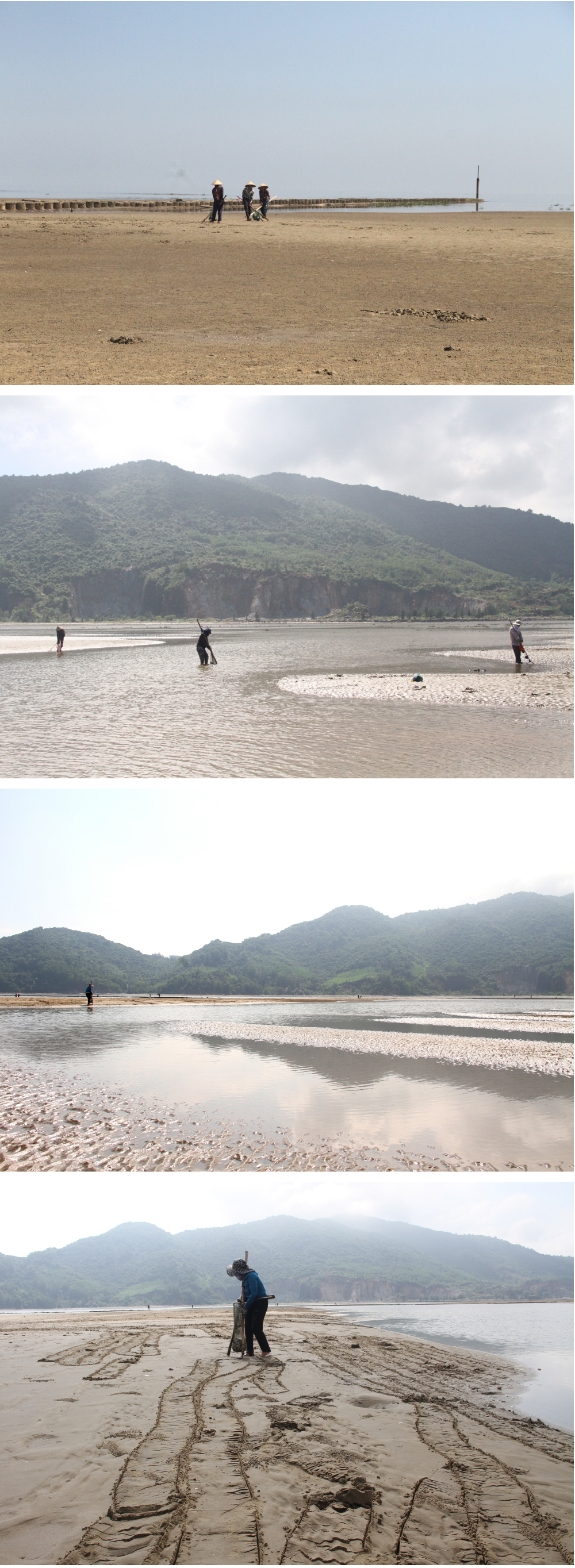 Đi nạo nghêu ở biển Cửa Sót ảnh 17