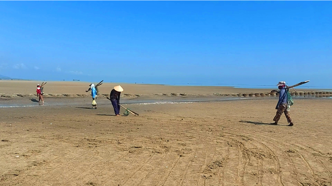 Đi nạo nghêu ở biển Cửa Sót ảnh 2