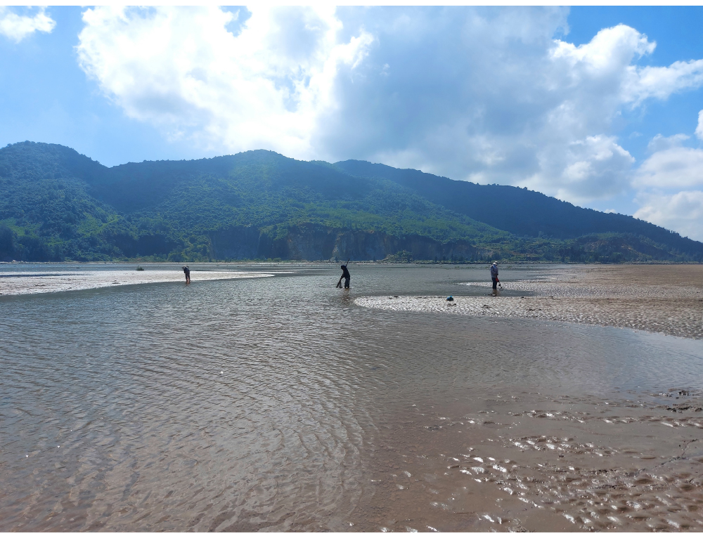 Đi nạo nghêu ở biển Cửa Sót ảnh 3