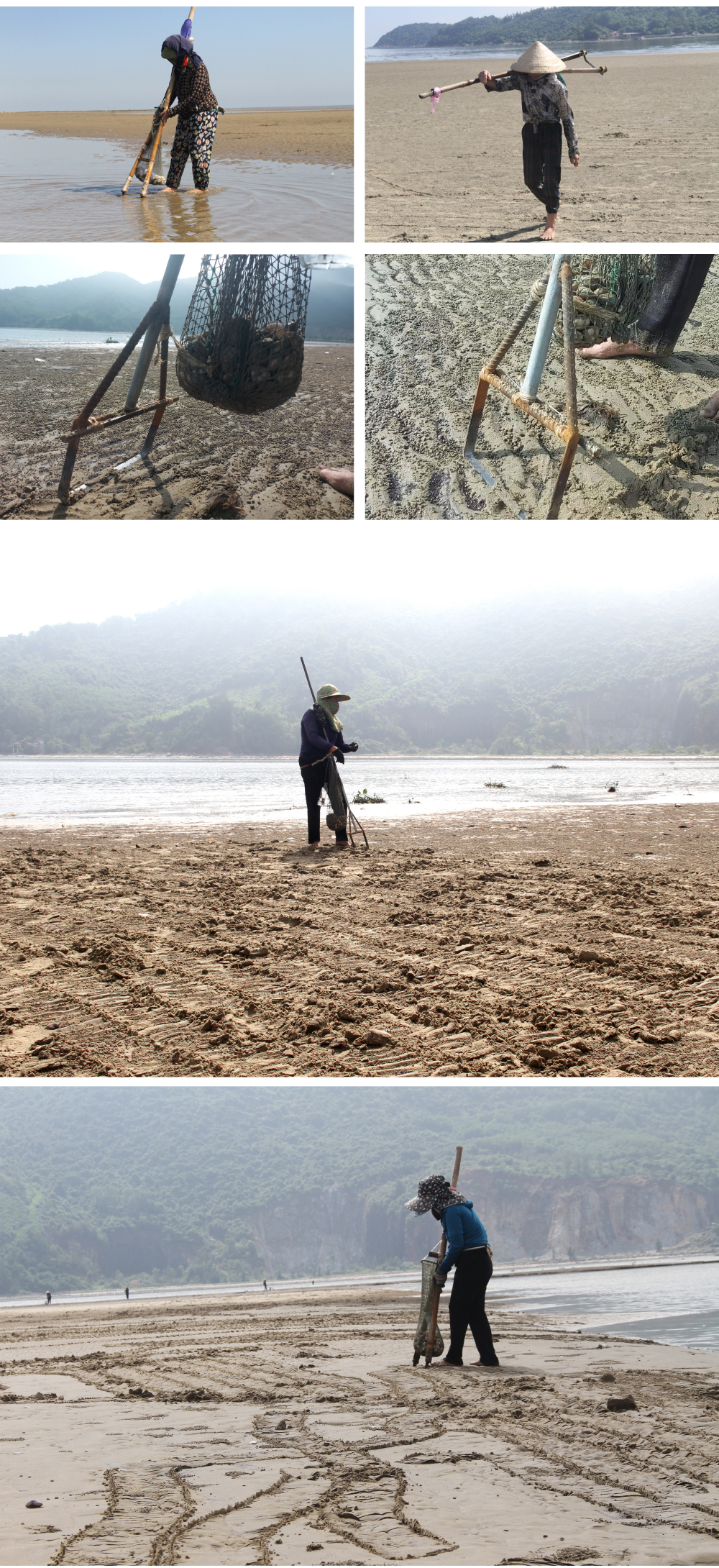 Đi nạo nghêu ở biển Cửa Sót ảnh 5