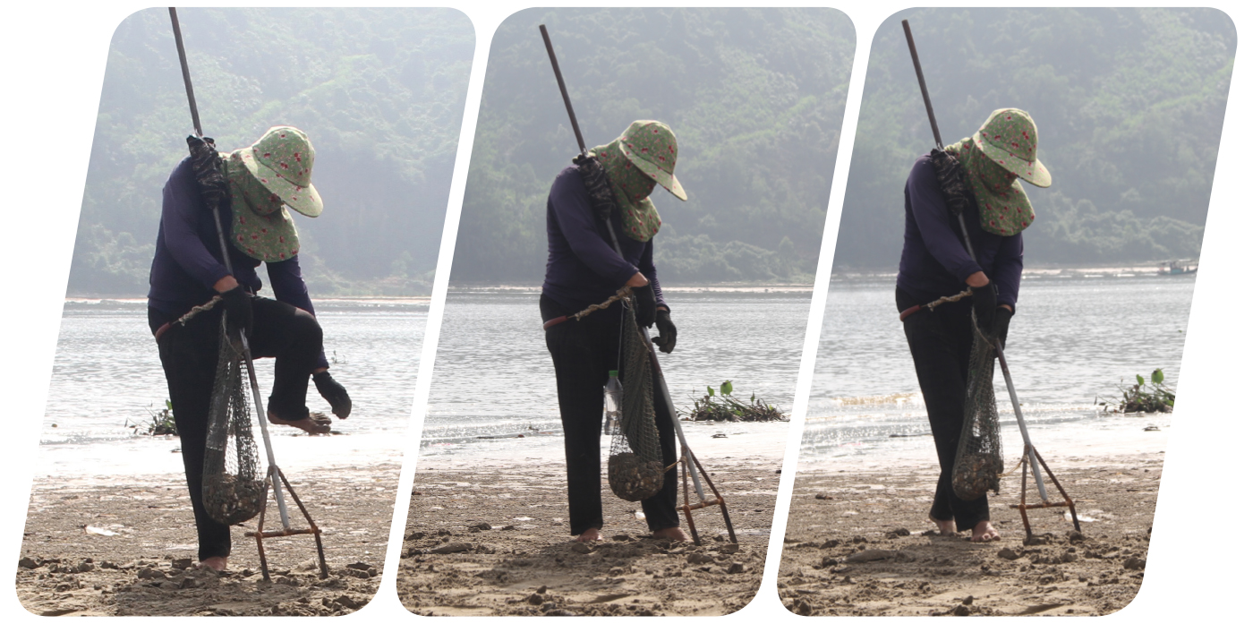 Đi nạo nghêu ở biển Cửa Sót ảnh 6