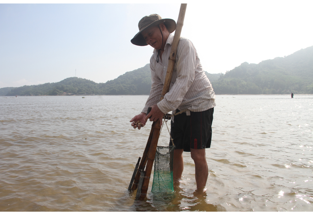 Đi nạo nghêu ở biển Cửa Sót ảnh 8