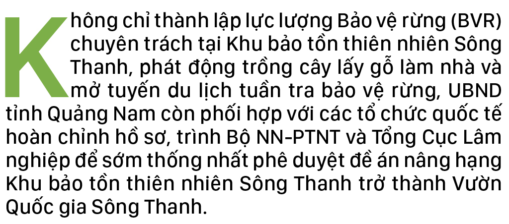 Nỗ lực giữ rừng Sông Thanh ảnh 1