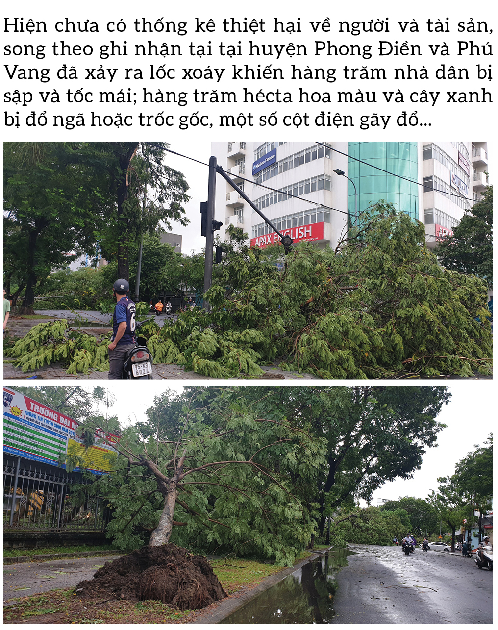 Bão số 5 đổ bộ miền Trung gây lốc xoáy, mưa lớn và ngập úng ảnh 4