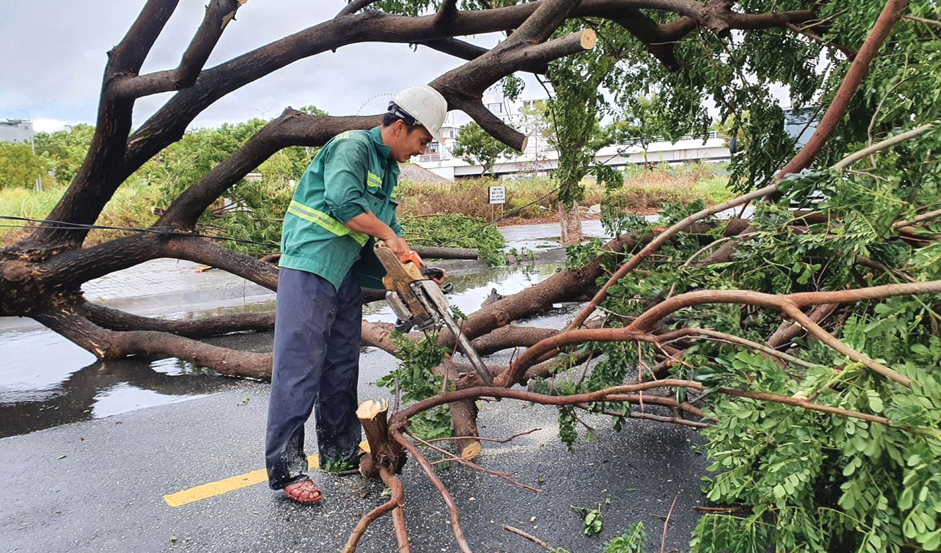 Bão số 5 đổ bộ miền Trung gây lốc xoáy, mưa lớn và ngập úng ảnh 16