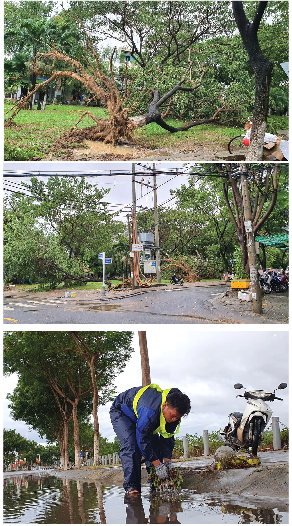 Bão số 5 đổ bộ miền Trung gây lốc xoáy, mưa lớn và ngập úng ảnh 17
