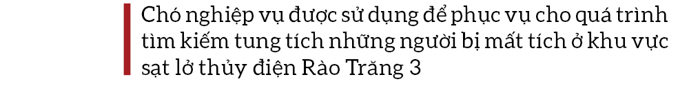 Toàn cảnh cuộc vượt rừng tìm kiếm, cứu nạn người mất tích ở Rào Trăng 3 ảnh 14
