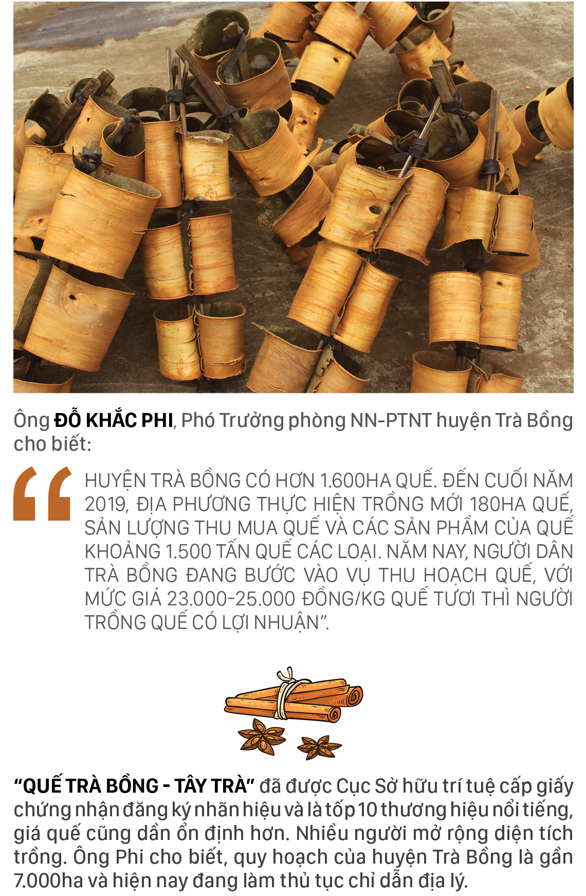 Người Cor ở Quảng Ngãi vui mùa thu hoạch quế ảnh 12
