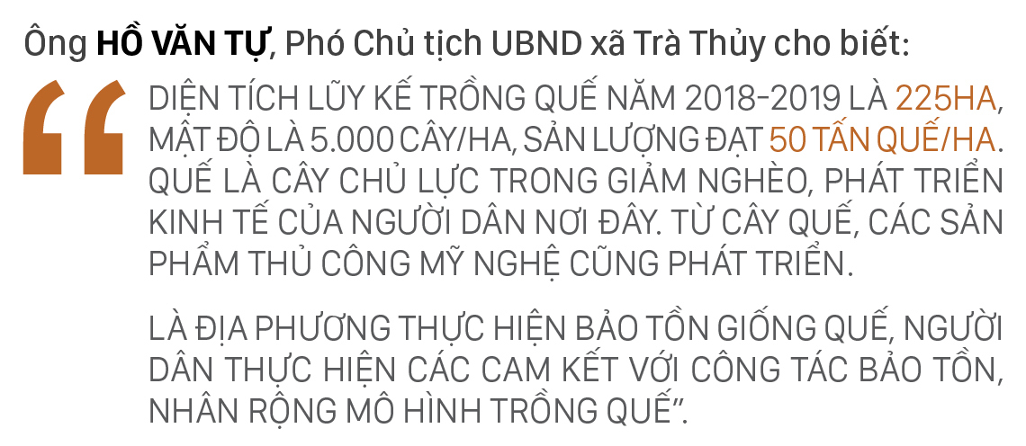 Người Cor ở Quảng Ngãi vui mùa thu hoạch quế ảnh 9
