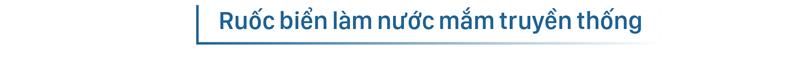 Ngư dân lội bộ ven bờ bắt hàng tạ ruốc biển ảnh 13