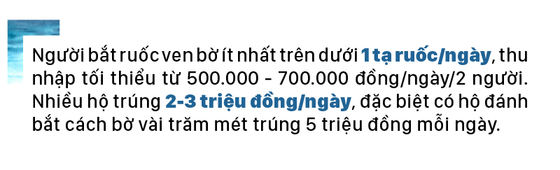 Ngư dân lội bộ ven bờ bắt hàng tạ ruốc biển ảnh 14