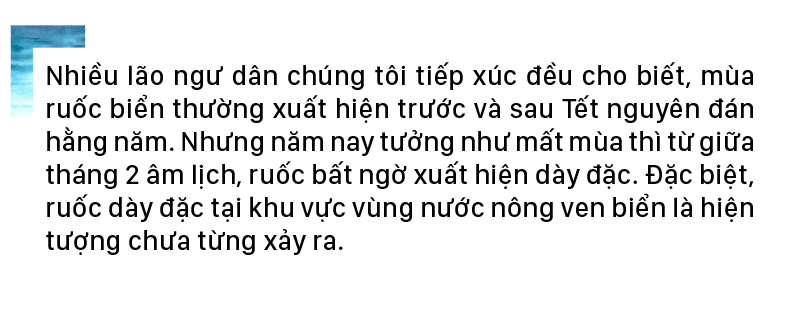 Ngư dân lội bộ ven bờ bắt hàng tạ ruốc biển ảnh 17