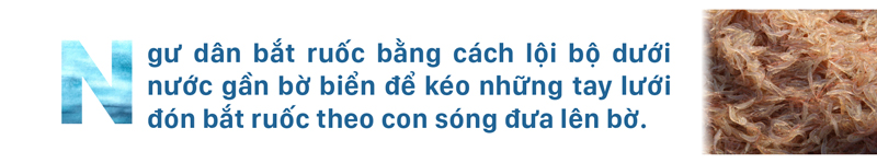 Ngư dân lội bộ ven bờ bắt hàng tạ ruốc biển ảnh 1