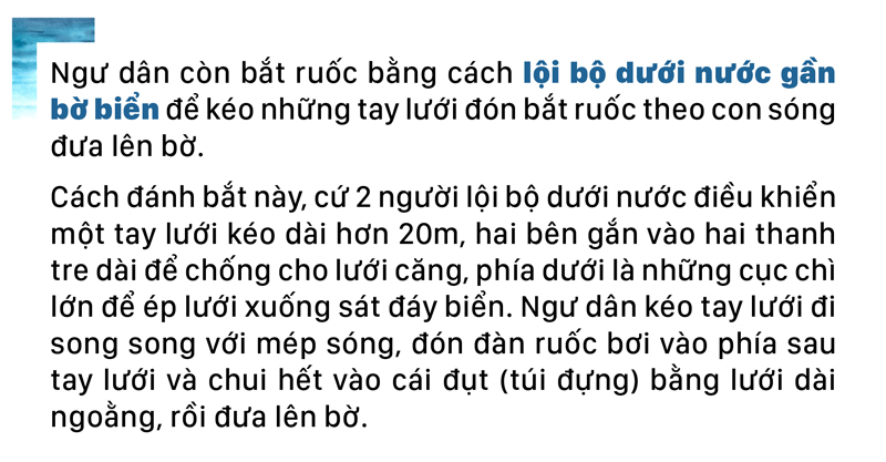 Ngư dân lội bộ ven bờ bắt hàng tạ ruốc biển ảnh 7
