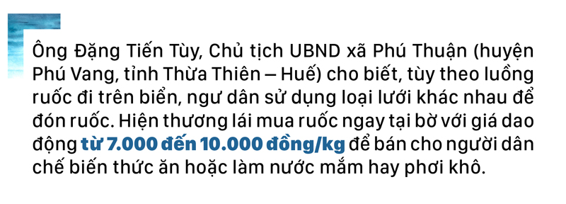 Ngư dân lội bộ ven bờ bắt hàng tạ ruốc biển ảnh 9