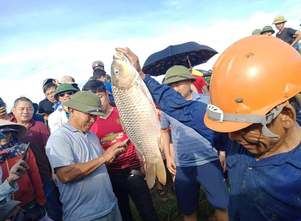 Độc đáo lễ hội đánh cá Đồng Hoa ảnh 19