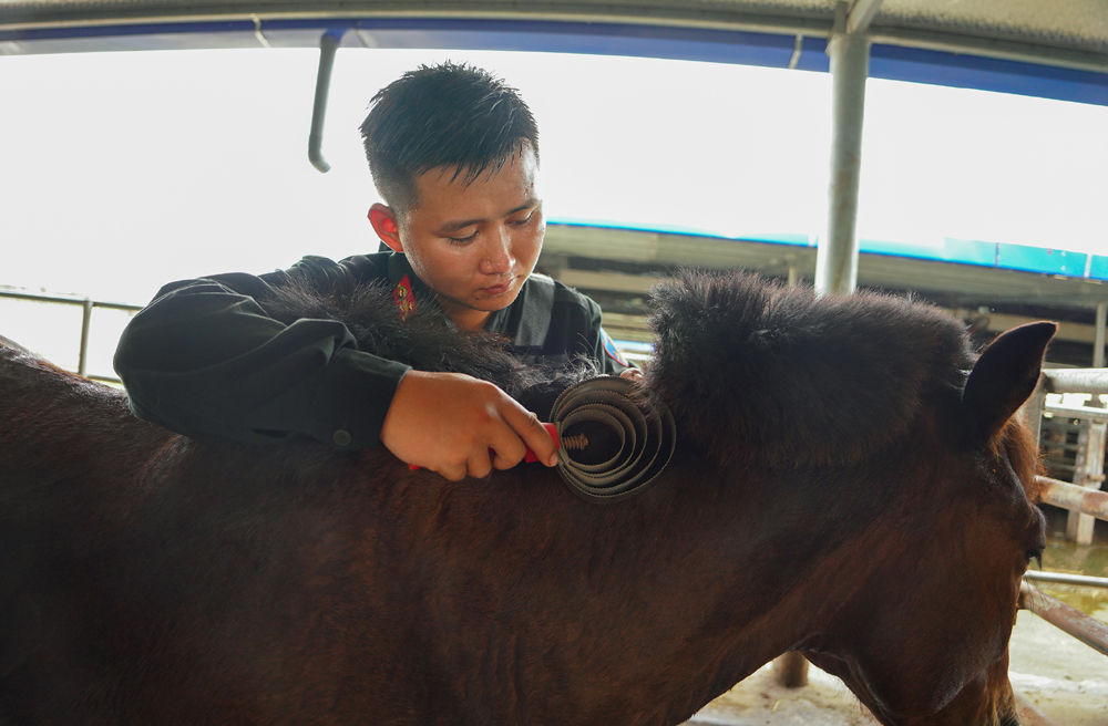 Cảnh sát cơ động Kỵ binh huấn luyện ngựa nghiệp vụ ảnh 24