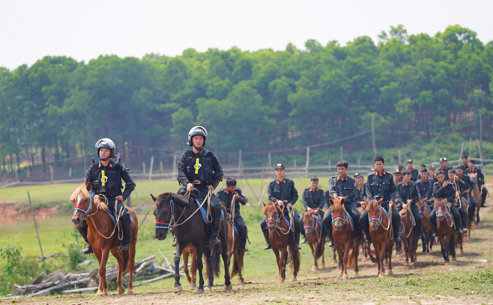 Cảnh sát cơ động Kỵ binh huấn luyện ngựa nghiệp vụ ảnh 3