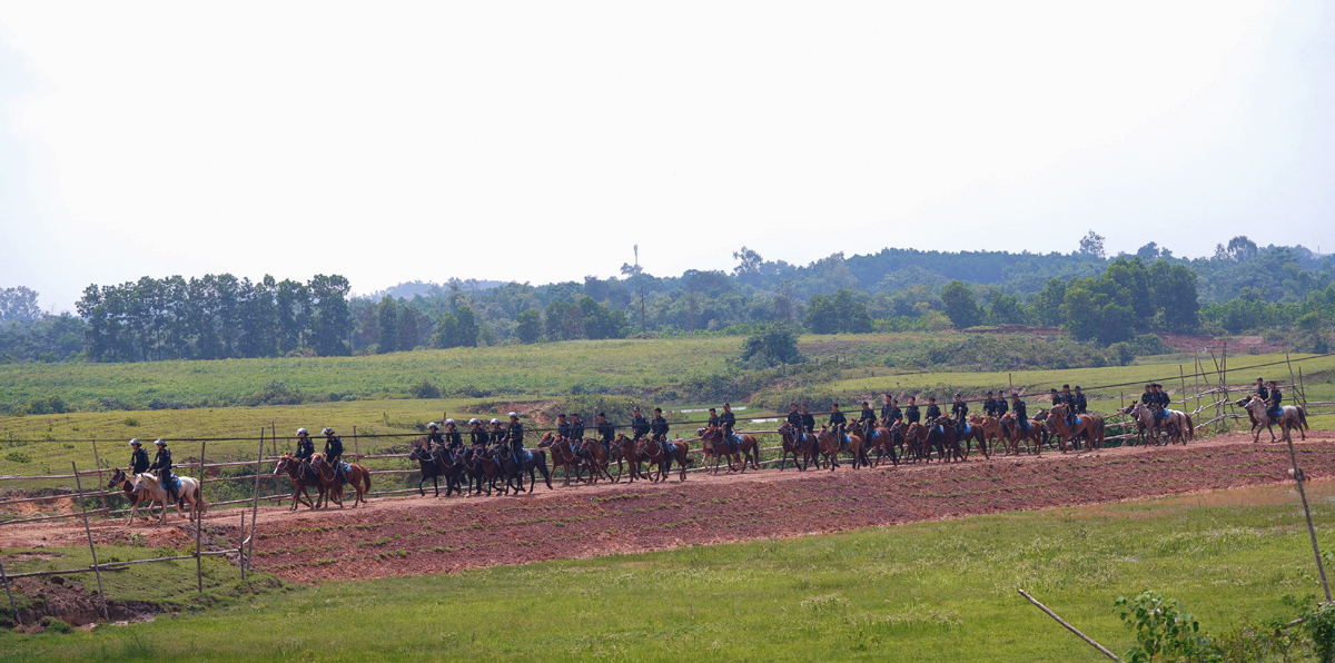 Cảnh sát cơ động Kỵ binh huấn luyện ngựa nghiệp vụ ảnh 4