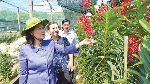 Chủ tịch UBND TPHCM Nguyễn Thành Phong ứng cử HĐND TPHCM tại địa bàn quận 1 ảnh 2 Chủ tịch UBND TPHCM Nguyễn Thành Phong ứng cử HĐND TPHCM tại địa bàn quận 1 ảnh 2