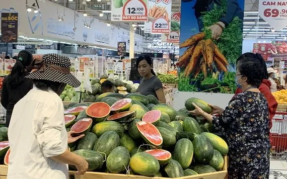 Watermelon becomes sixth Vietnamese fruit officially exported to China |  SGGP English Edition