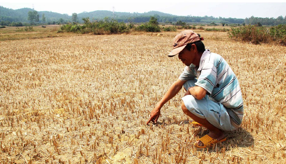 Nhiều khu vực, địa phương ở Việt Nam đang bước vào mùa khô hạn. Ảnh minh họa: NGỌC OAI