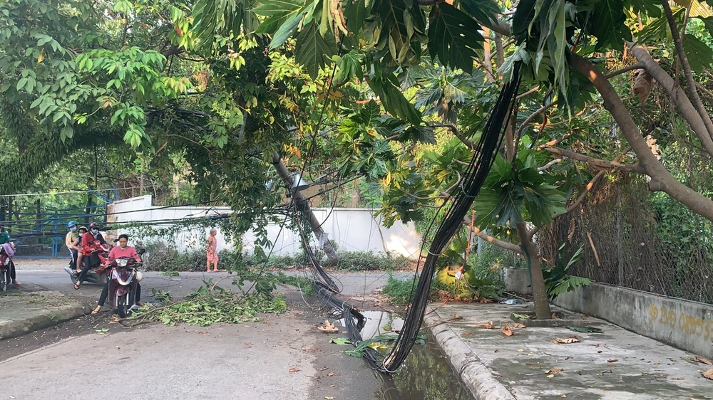 Sau tiếng nổ lớn, trụ điện ngã đổ, hàng trăm hộ dân ở Thủ Đức mất điện ảnh 5 Sau tiếng nổ lớn, trụ điện ngã đổ, hàng trăm hộ dân ở Thủ Đức mất điện ảnh 5